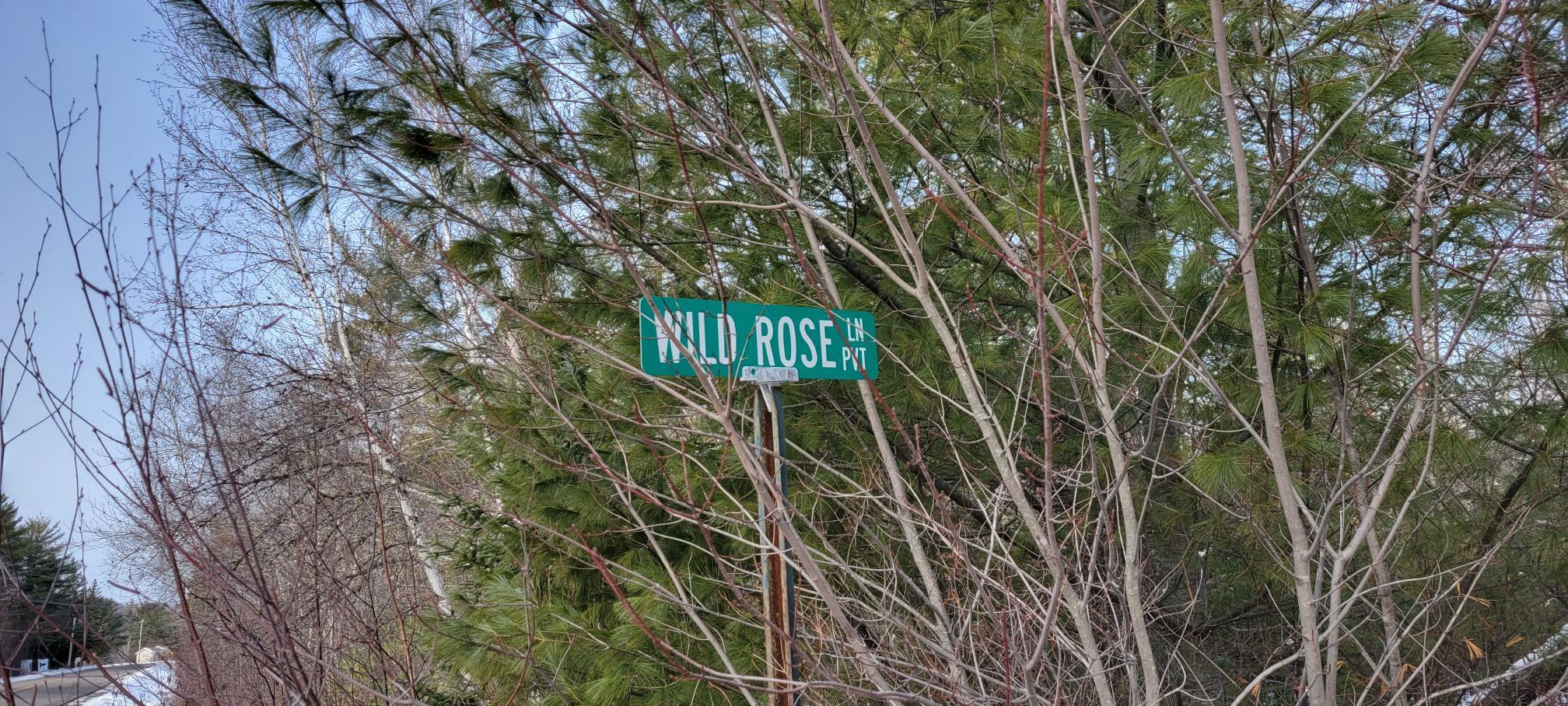 Wild Rose Ln sign
