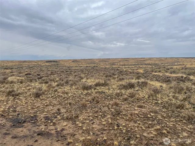 a view of a tall building