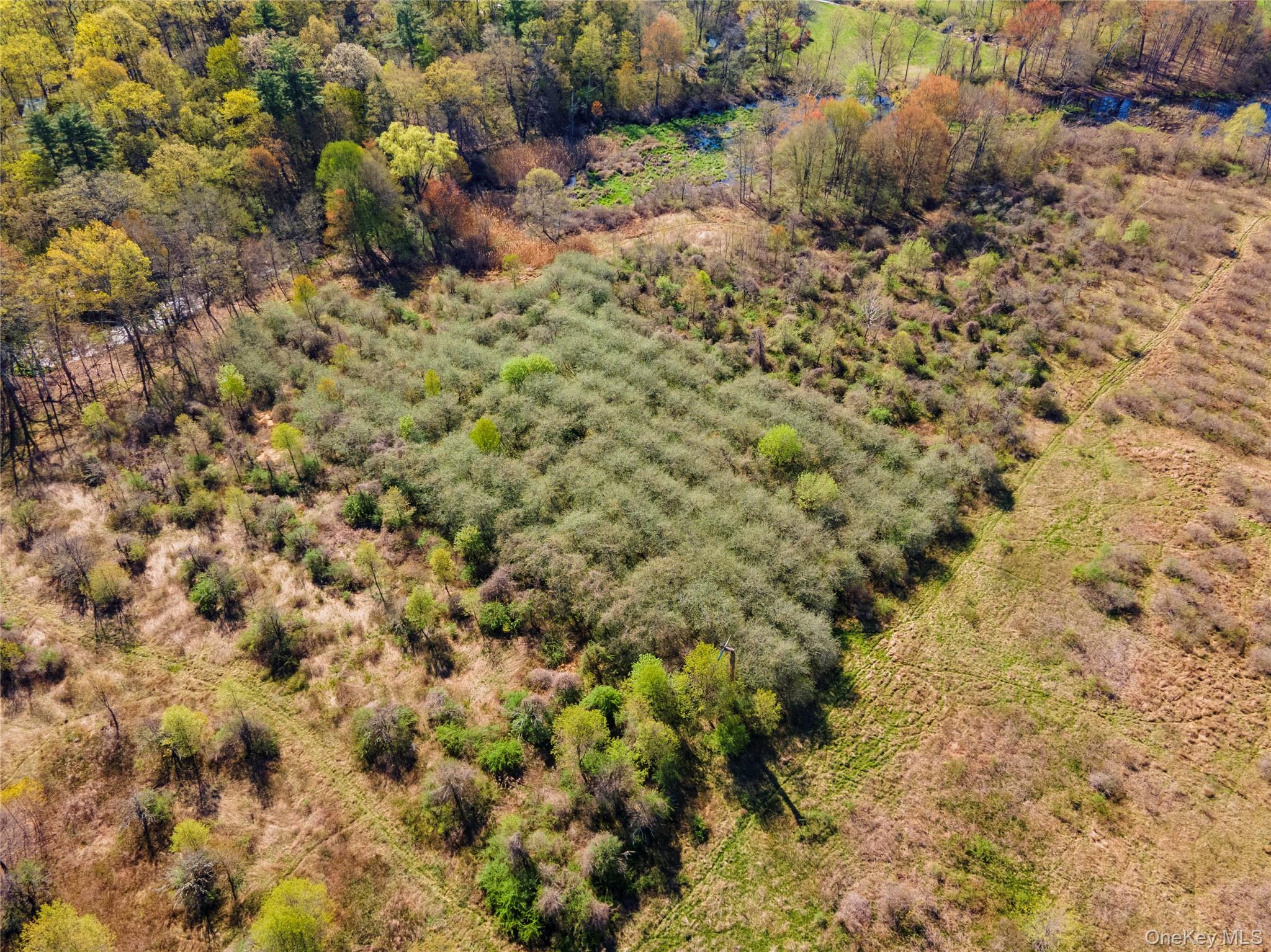 378 Union Center Road Ulster Park, NY 12487 - Photo 14 of 15 Bird's eye view