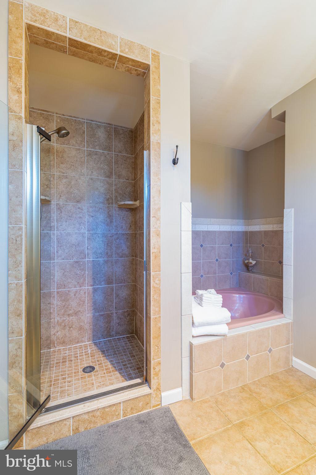 7317 Chesapeake Road Baltimore, MD 21220 - Photo 26 of 39 Large soaking tub and seperate shower