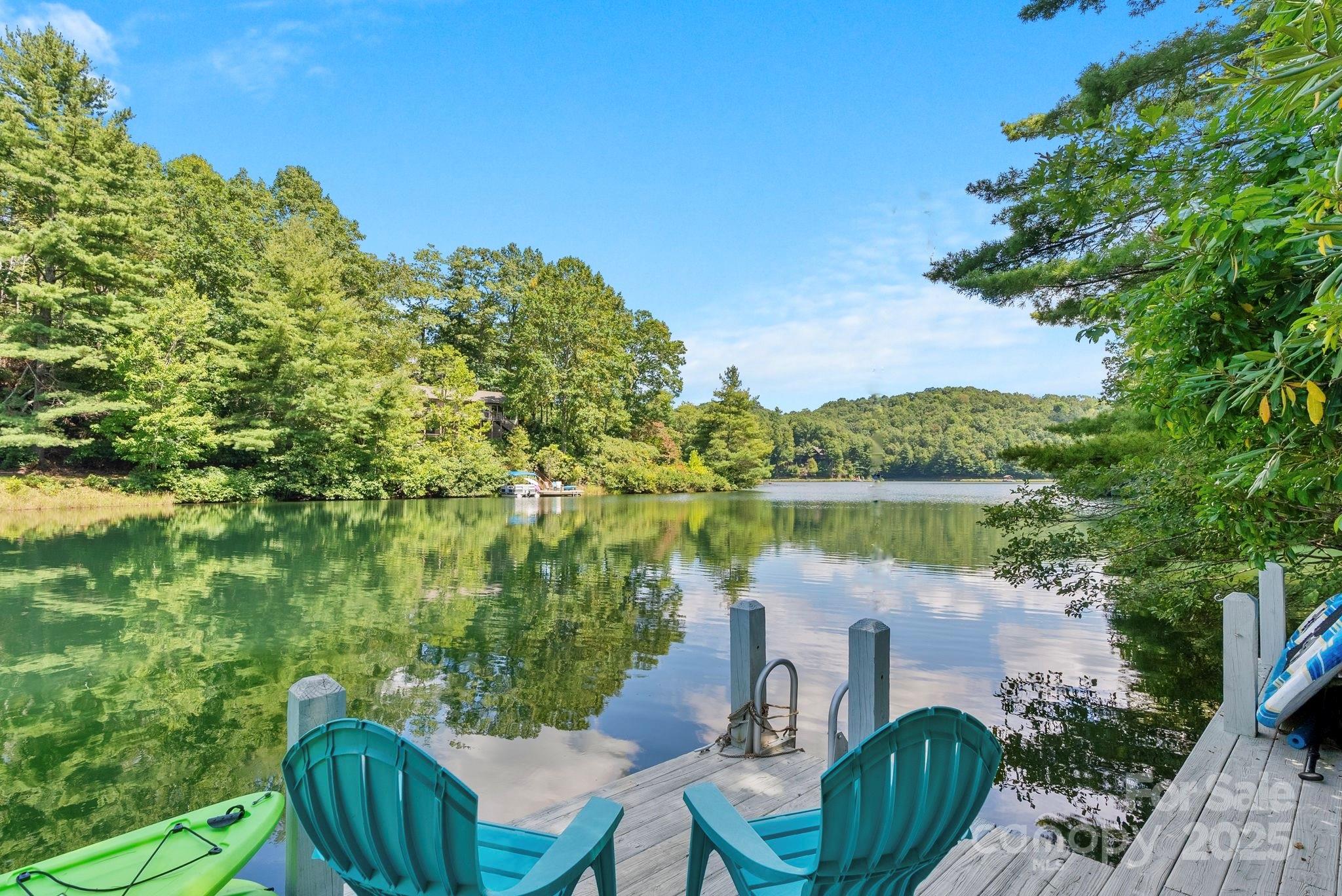 444 Cheulah Road Brevard, NC 28712 - Photo 1 of 48 Gallery Image 1