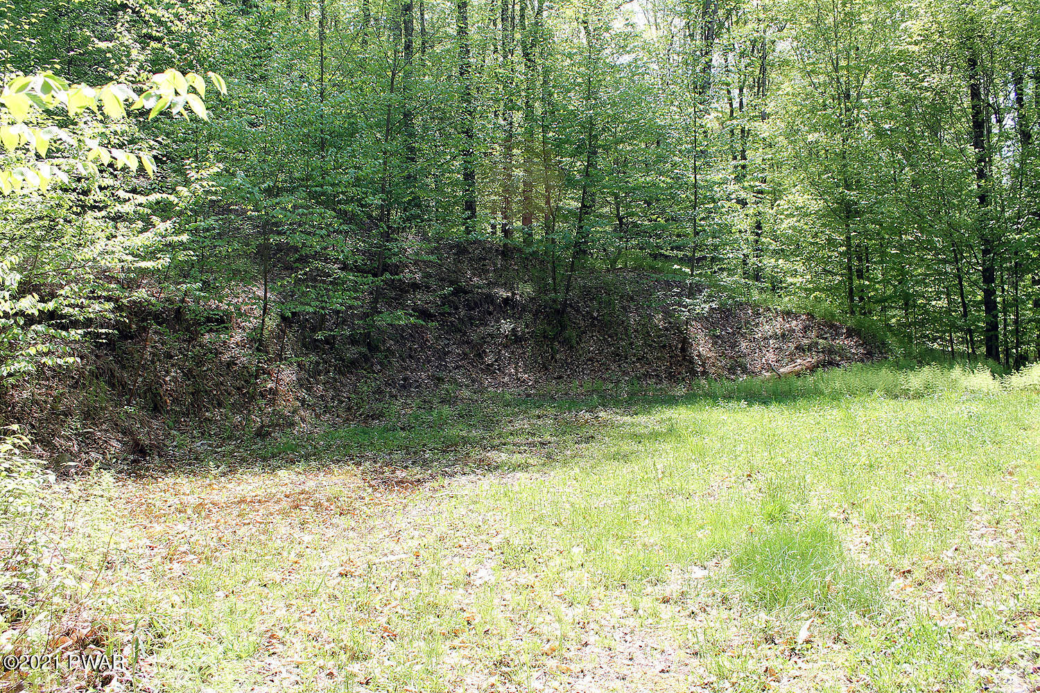 3 Robbs Road Damascus, PA 18415 - Photo 1 of 13 Home Site