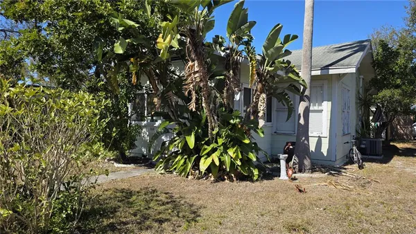 a view of a potted plants next to a building