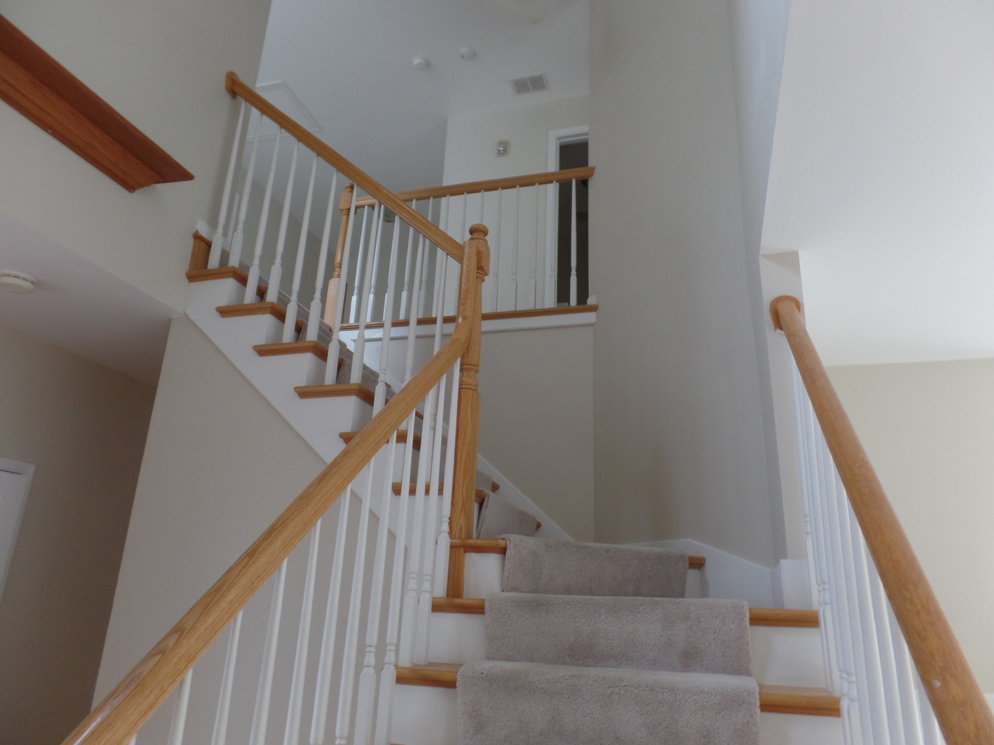 256 Ridge Road North Aurora, IL 60542 - Photo 13 of 18