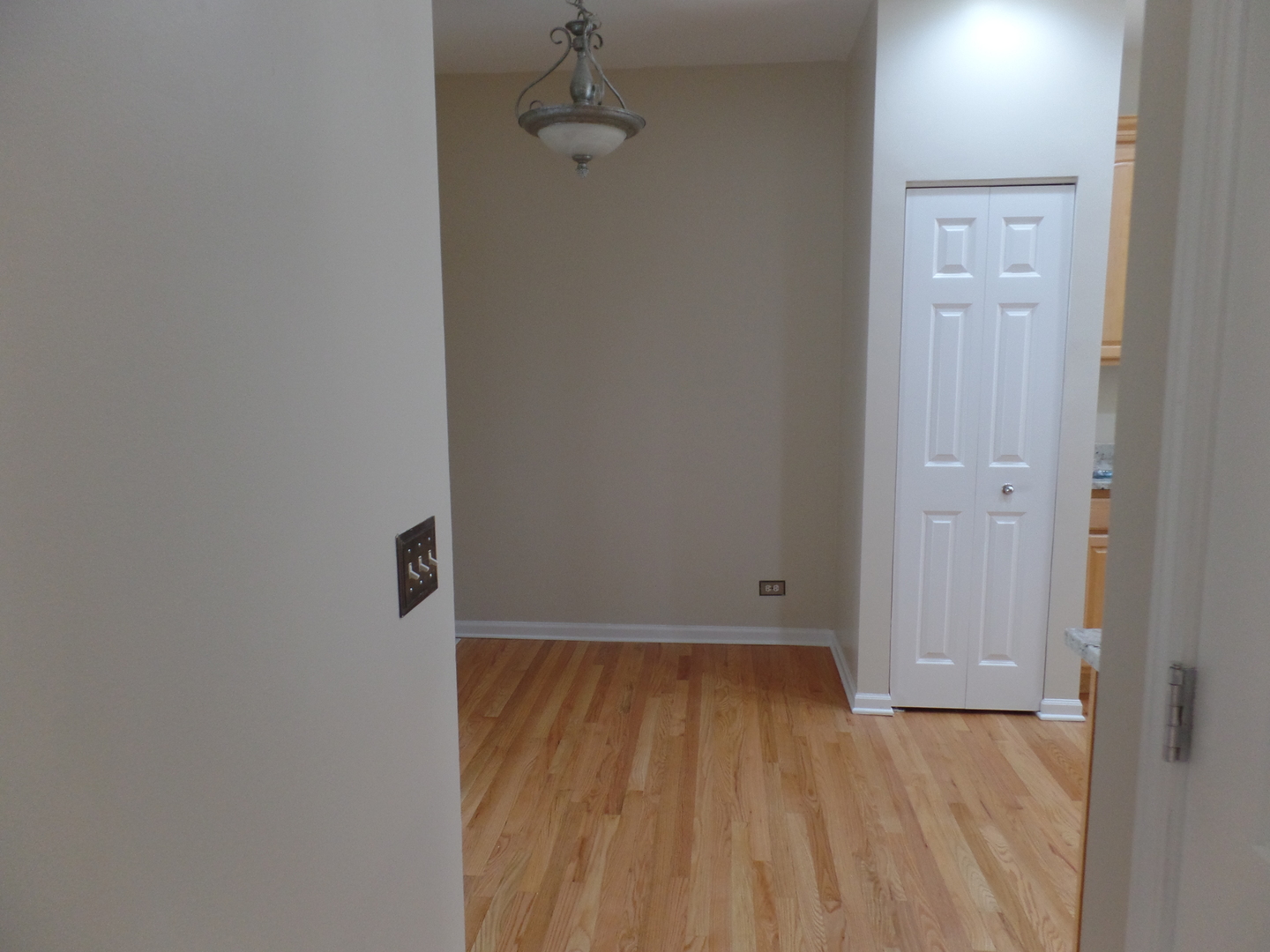 256 Ridge Road North Aurora, IL 60542 - Photo 4 of 18