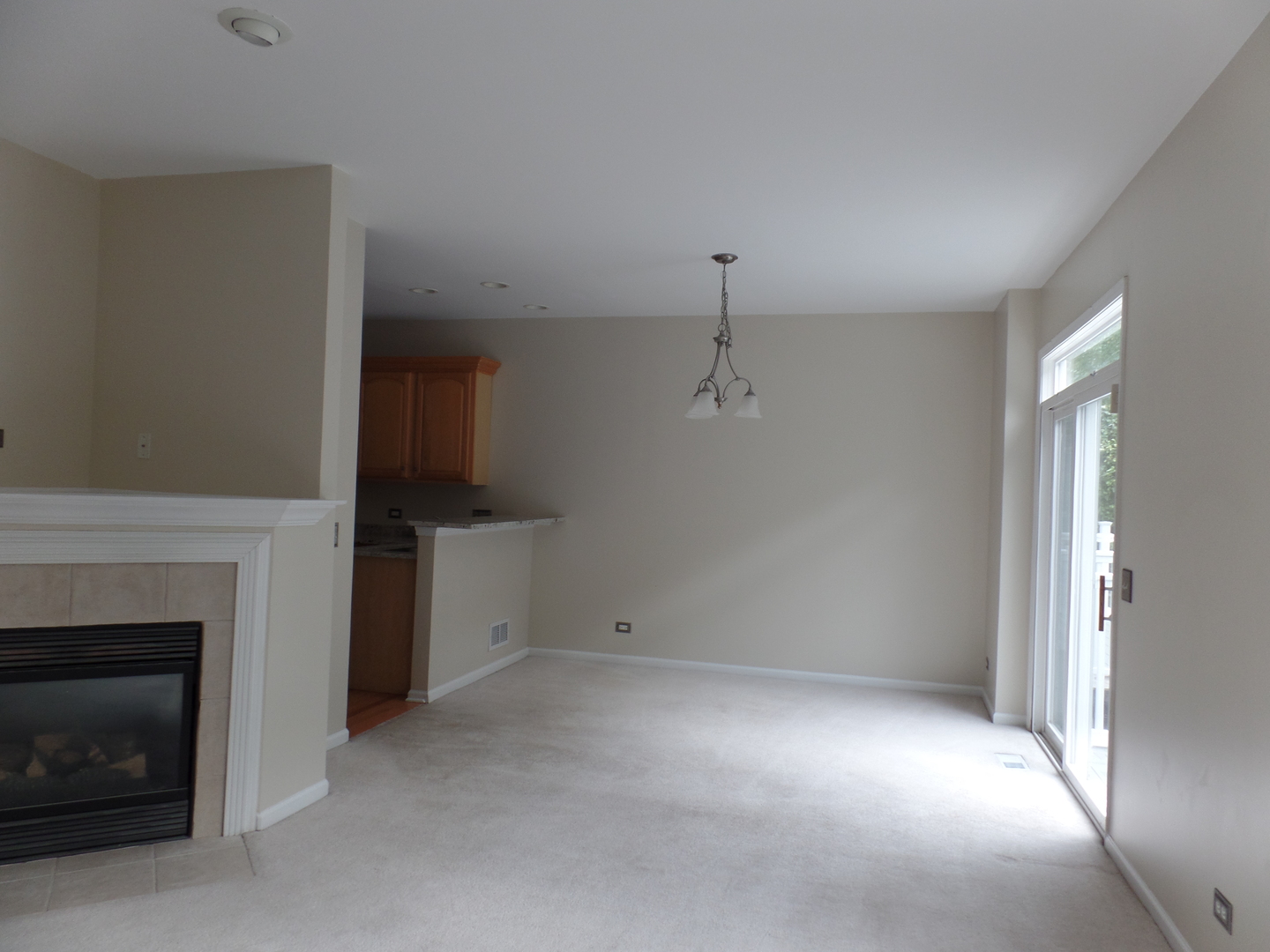 256 Ridge Road North Aurora, IL 60542 - Photo 8 of 18