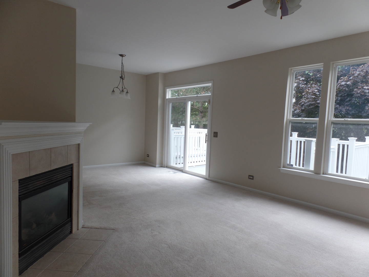 256 Ridge Road North Aurora, IL 60542 - Photo 9 of 18