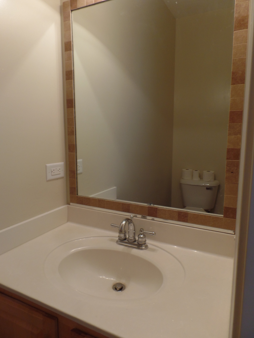 256 Ridge Road North Aurora, IL 60542 - Photo 10 of 18
