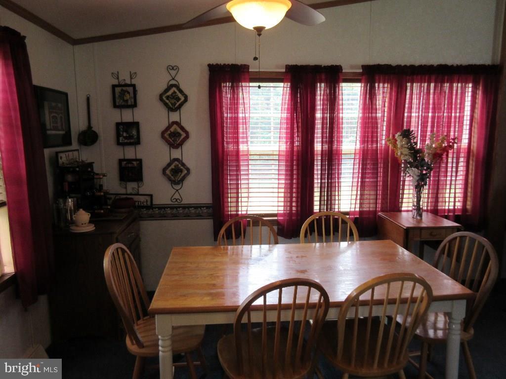 6953 Cannon Road Bridgeville, DE 19933 - Photo 10 of 20 Gallery Image 10