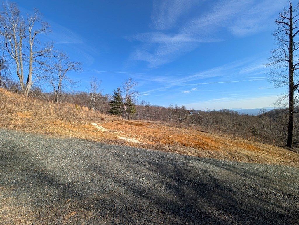 Tbd Hunters Path, Unit 9 Fancy Gap, VA 24328 - Photo 7 of 19 Gallery Image 7