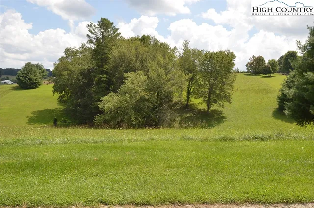 a view of a lake from a yard