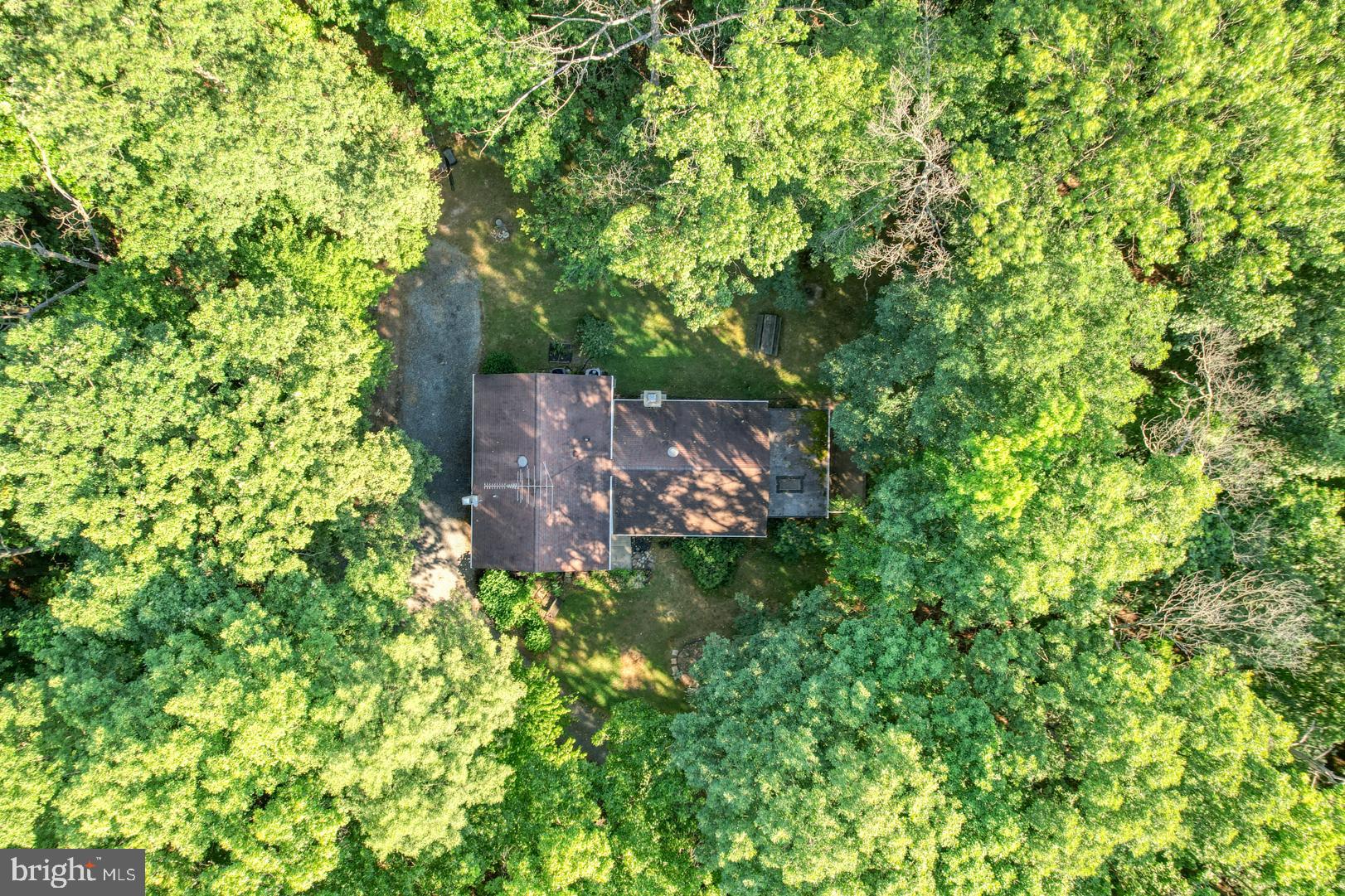 1966 Vandyke Greenspring Road Smyrna, DE 19977 - Photo 3 of 45 a view of a large tree