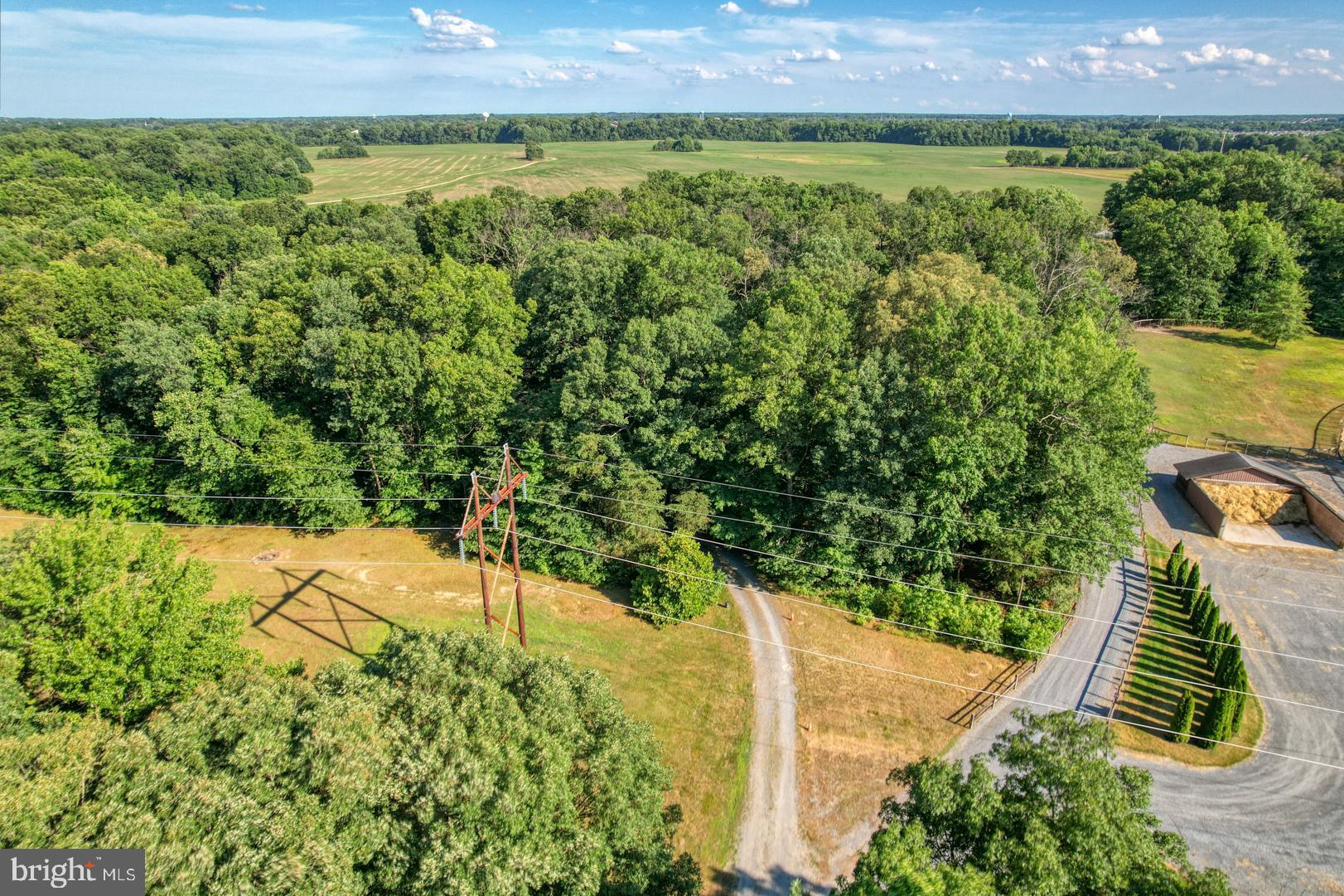 1966 Vandyke Greenspring Road Smyrna, DE 19977 - Photo 41 of 45