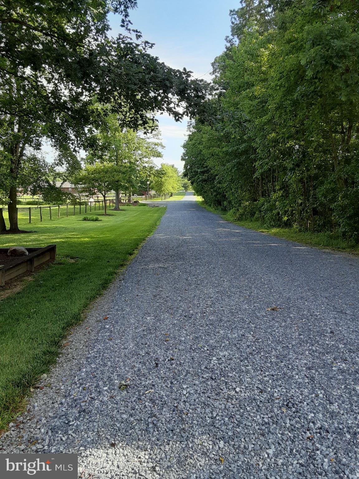 1966 Vandyke Greenspring Road Smyrna, DE 19977 - Photo 44 of 45 a view of a yard with plants and large trees