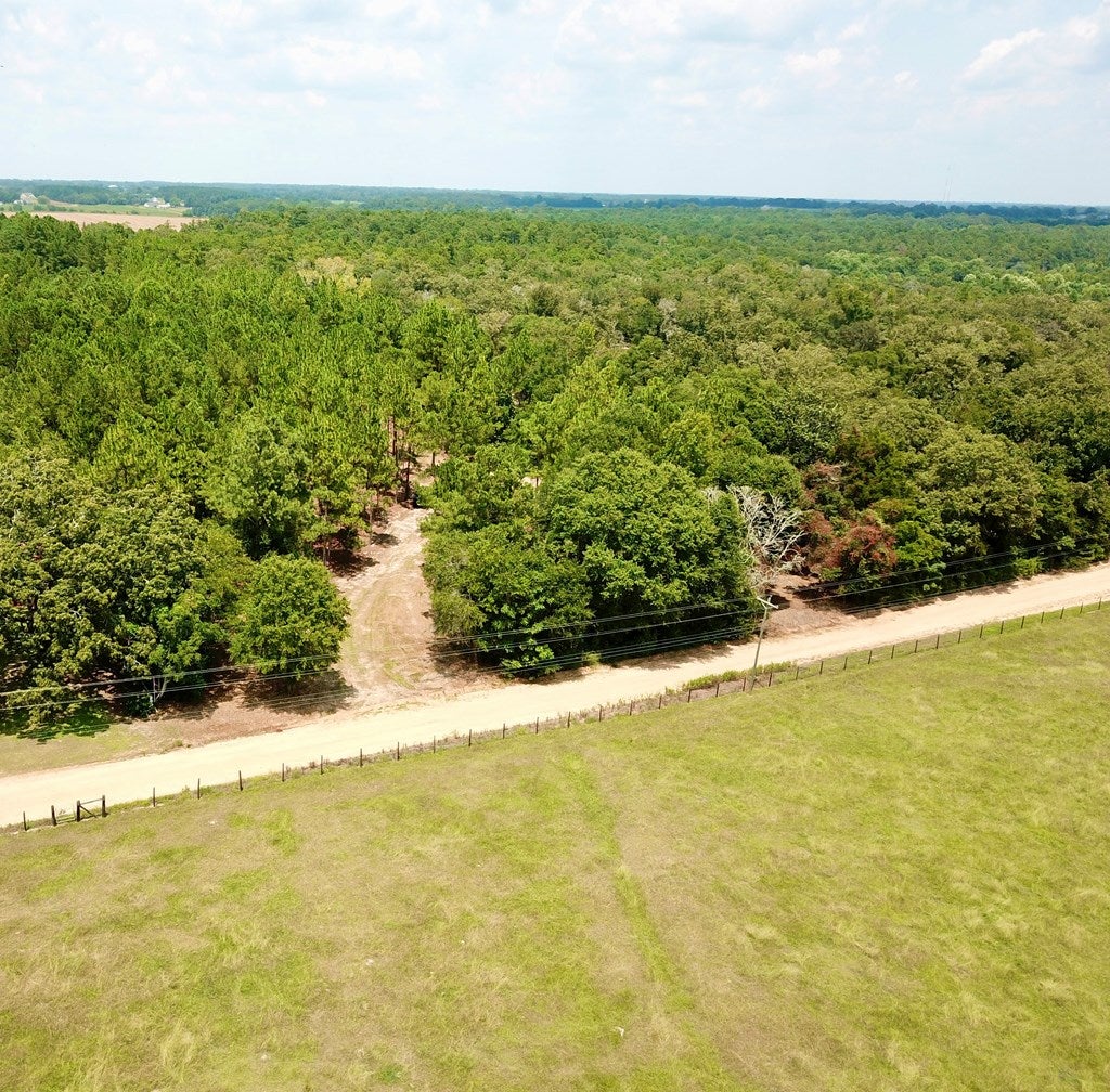 3.14-acres Corbin Road Newton, AL 36352 - Photo 17 of 31 Gallery Image 17