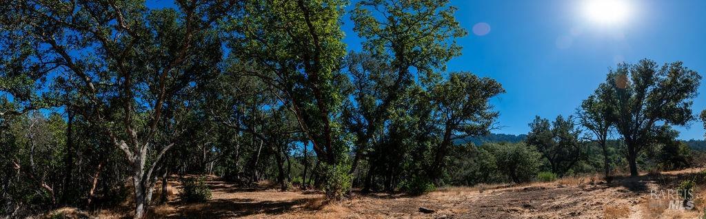0 Mount Veeder Rd Street Napa, CA 94558 - Photo 26 of 26