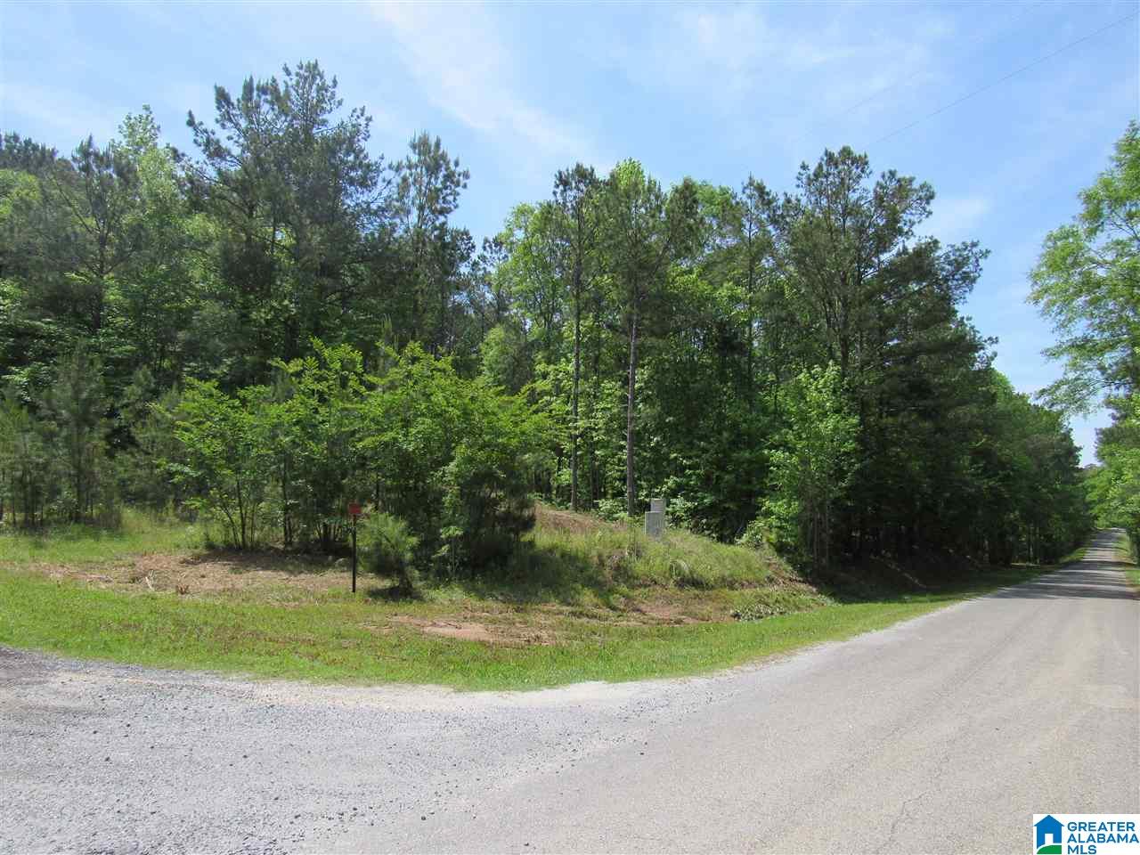 0 County Road 895, Unit 17 ACRES Lineville, AL 36266 - Photo 7 of 30