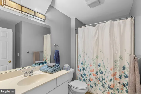 a bathroom with a sink a toilet and shower curtain