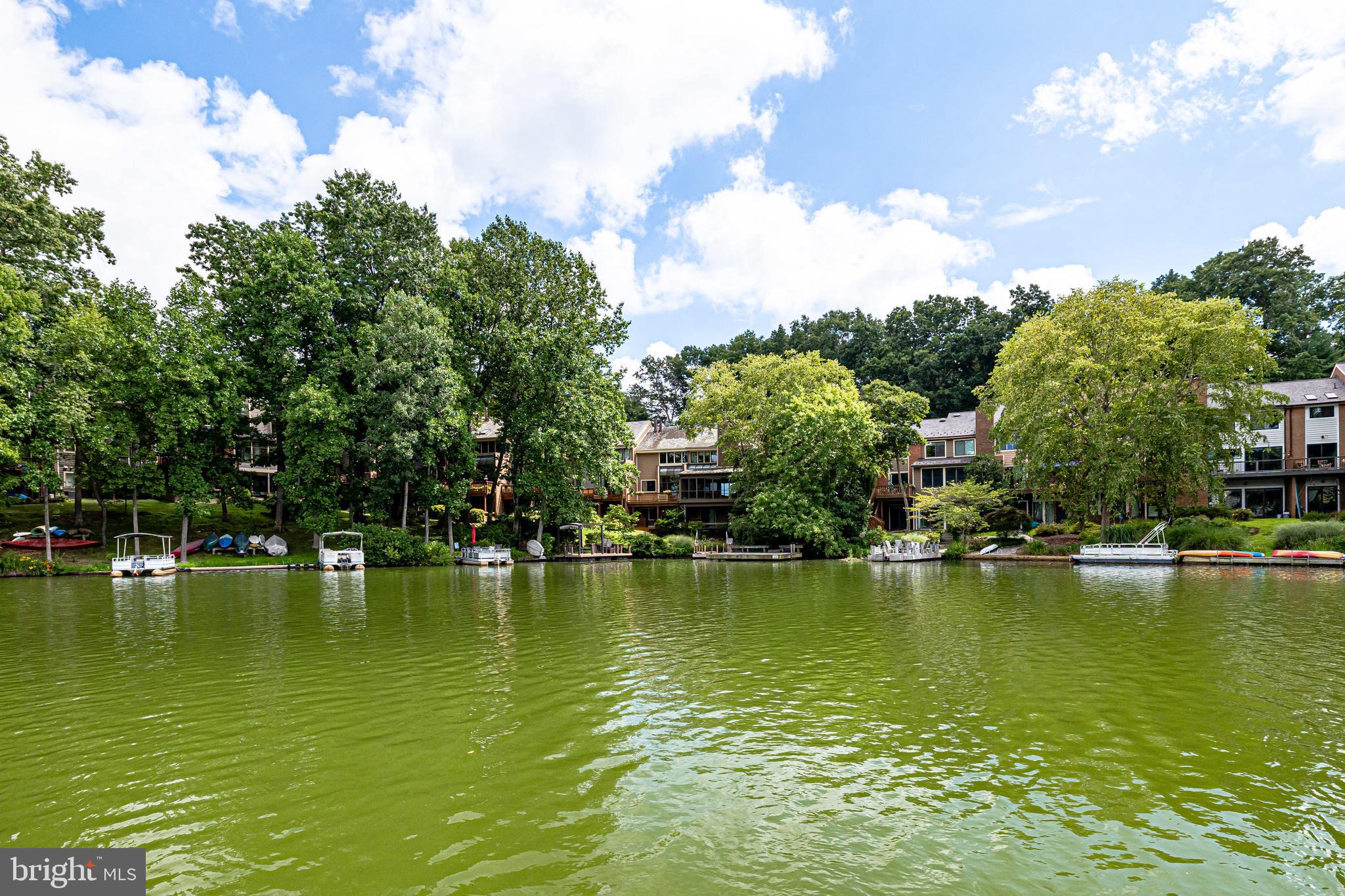 11056 Thrush Ridge Road Reston, VA 20191 - Photo 5 of 62 a view of a ocean with boats and trees in the background