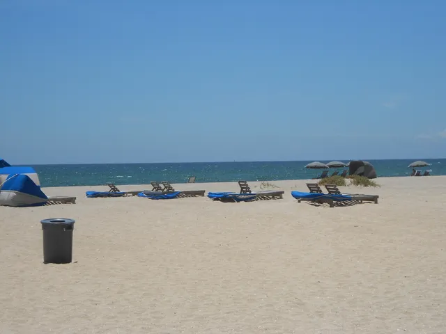 a view of a house with a yard and a large window