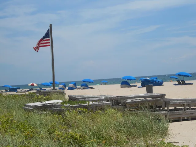 a view of a back yard