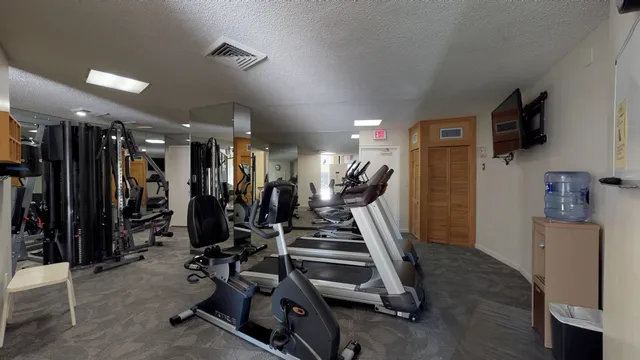 a living room with furniture flowerpot and a potted plant