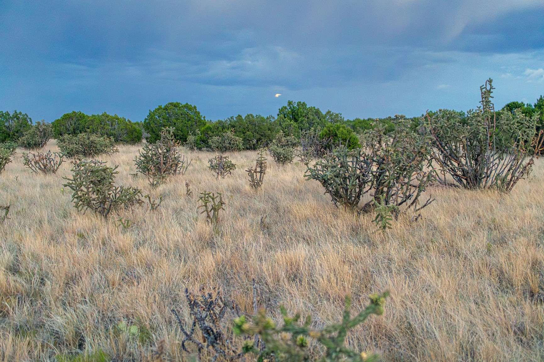 509 Gold Mine Road Cerrillos, NM 87010 - Photo 10 of 20