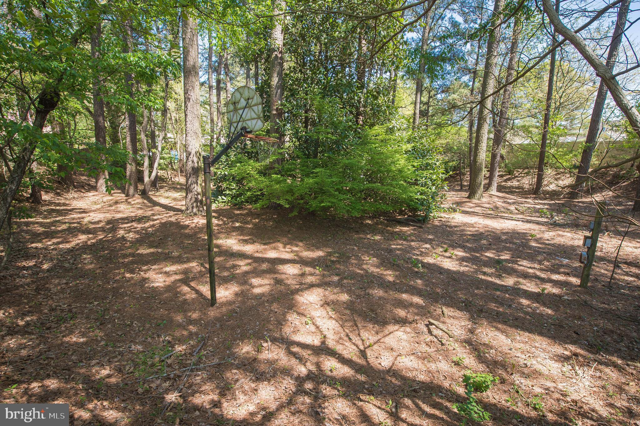 903 Aberdeen Road Salisbury, MD 21804 - Photo 54 of 82 Gallery Image 54