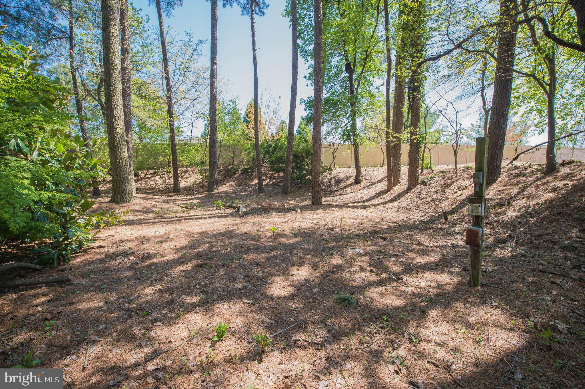 903 Aberdeen Road Salisbury, MD 21804 - Photo 55 of 82 Gallery Image 55