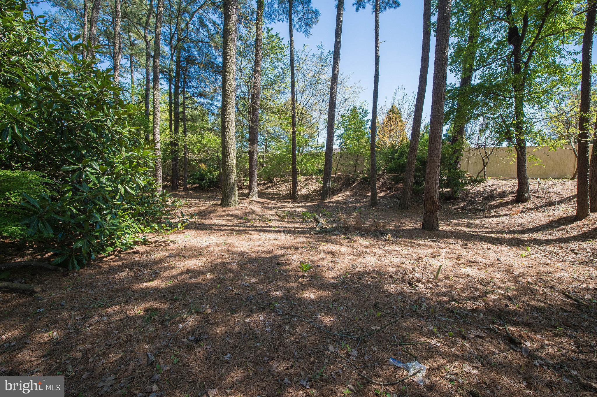 903 Aberdeen Road Salisbury, MD 21804 - Photo 57 of 82 Gallery Image 57