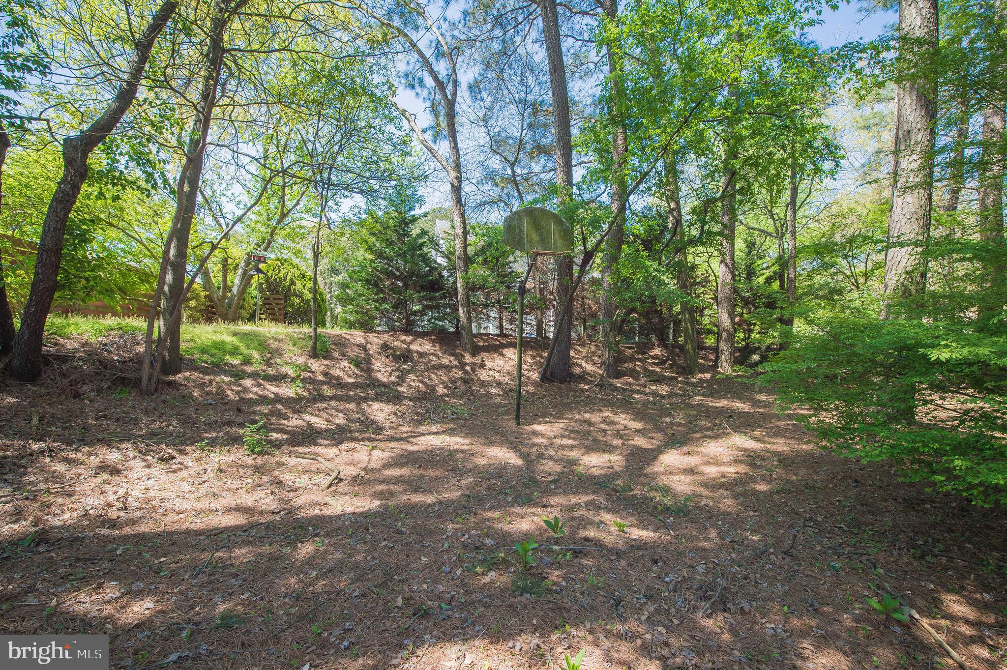 903 Aberdeen Road Salisbury, MD 21804 - Photo 58 of 82 Gallery Image 58