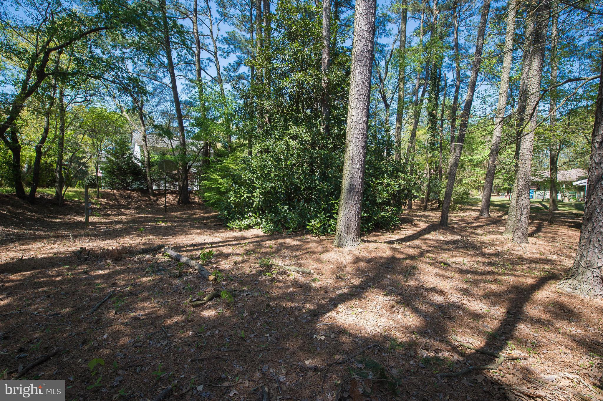 903 Aberdeen Road Salisbury, MD 21804 - Photo 59 of 82 Gallery Image 59