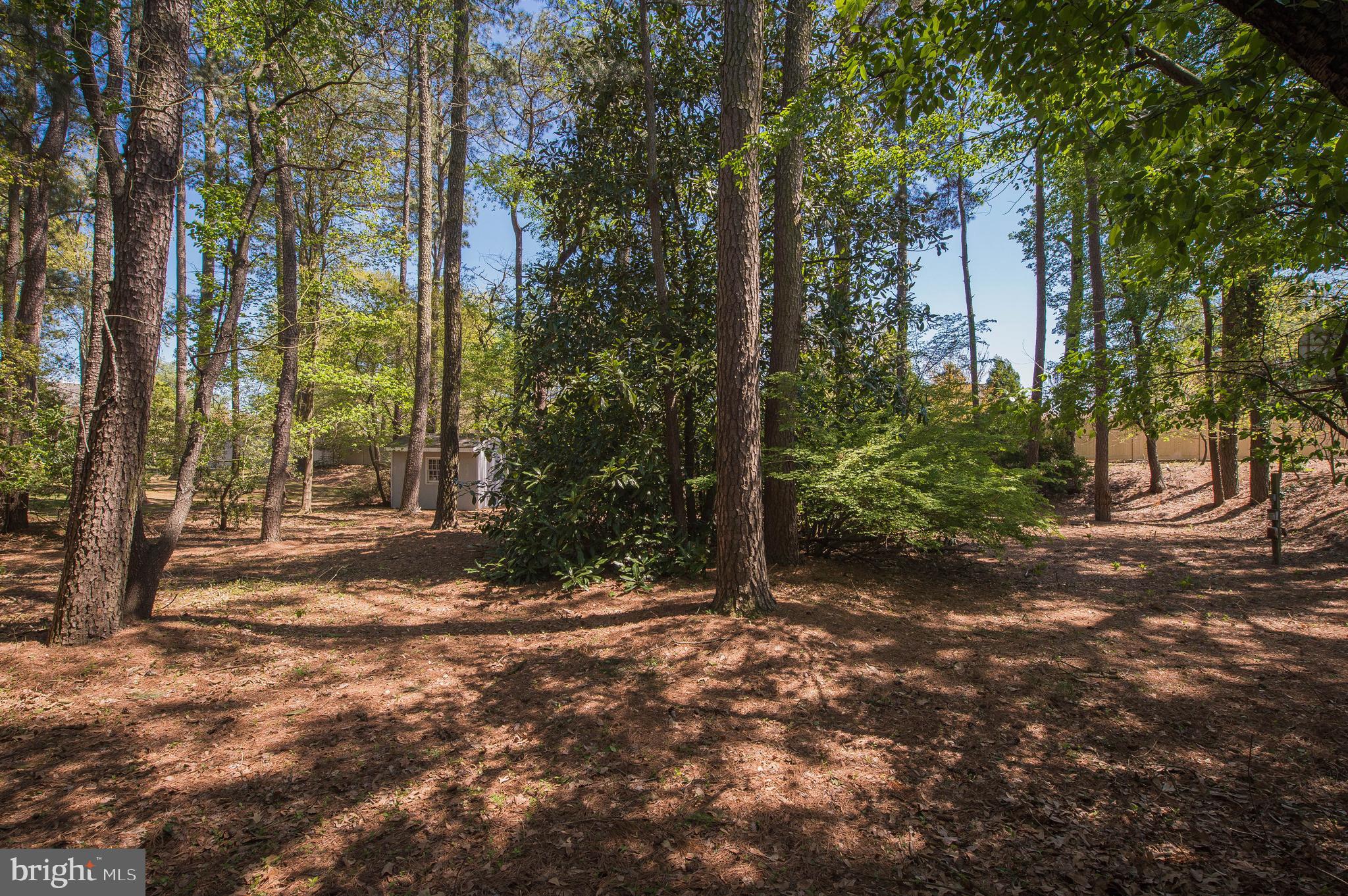 903 Aberdeen Road Salisbury, MD 21804 - Photo 63 of 82 Gallery Image 63