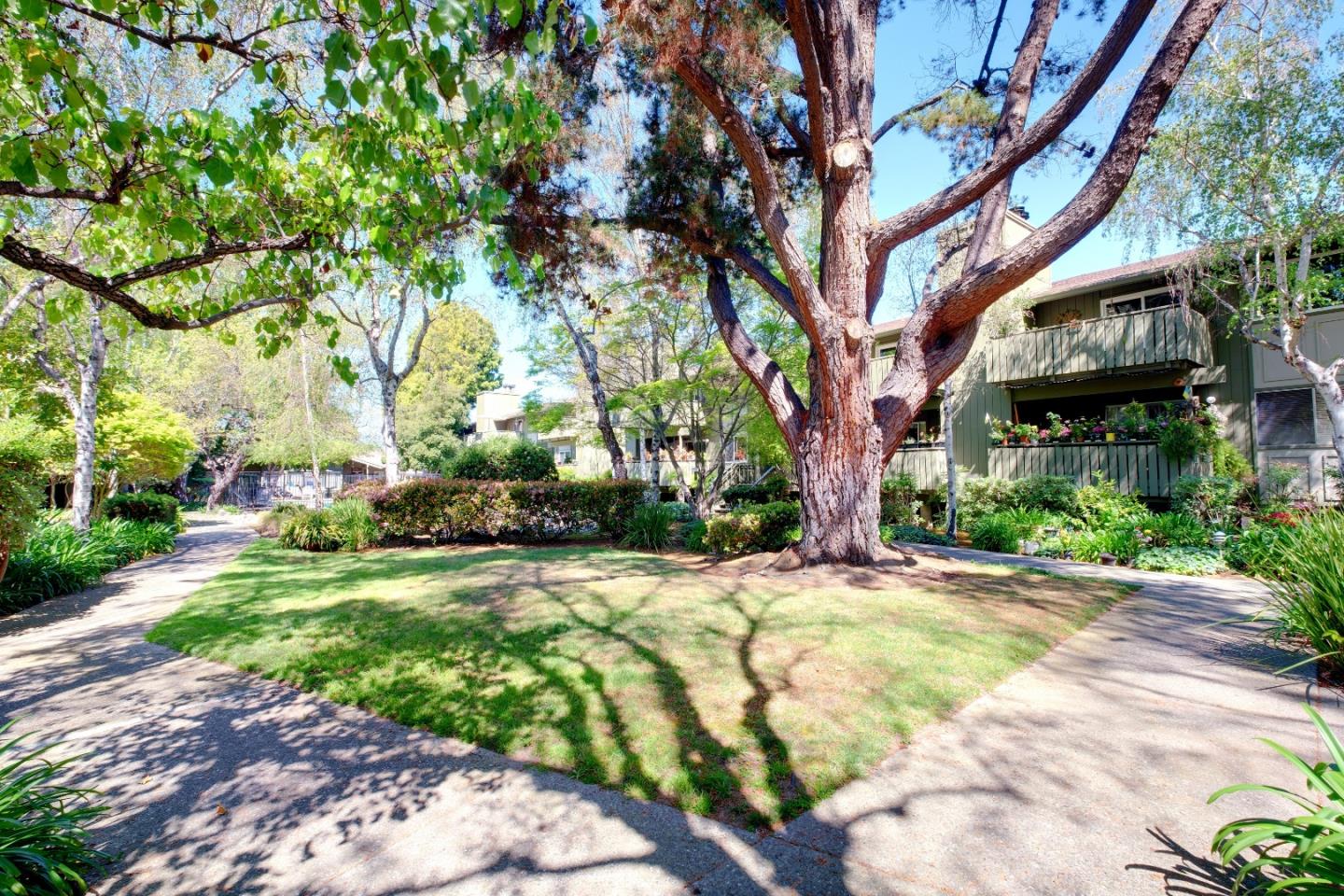 50 East Middlefield Road, Unit 40 Mountain View, CA 94043 - Photo 37 of 41 a view of a house with a yard and tree s