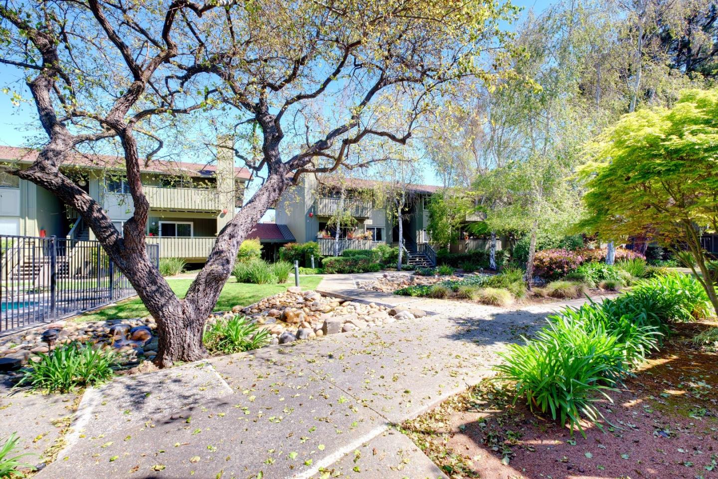 50 East Middlefield Road, Unit 40 Mountain View, CA 94043 - Photo 8 of 41 a front view of a house with garden and plants