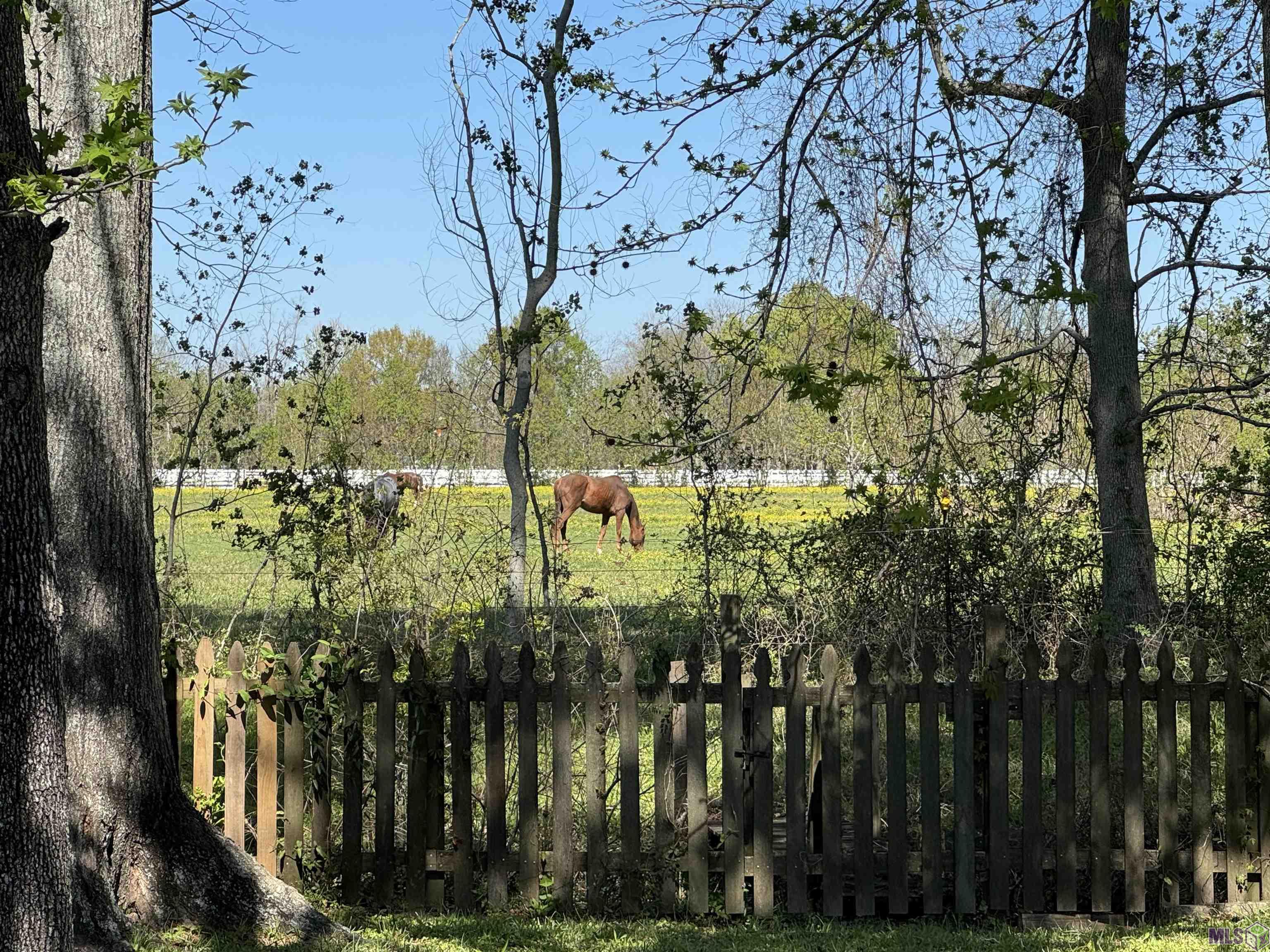 3660 Westervelt Avenue Baton Rouge, LA 70820 - Photo 35 of 35