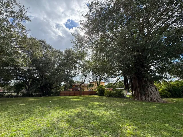 a view of a trees in a yard
