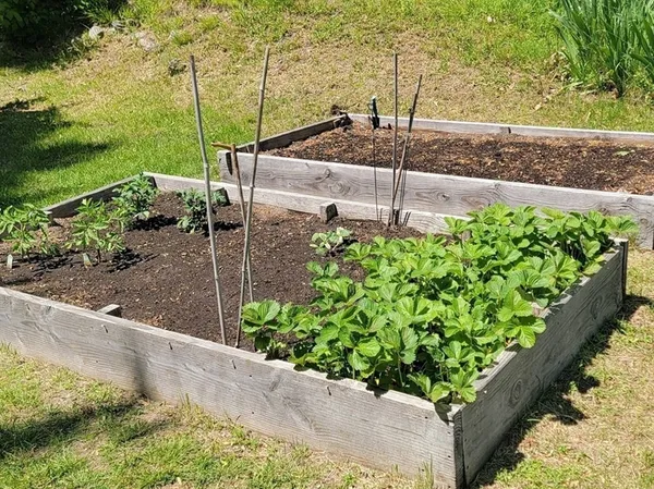 $625,000 | 28 Walworth Street, Worcester, MA 01602