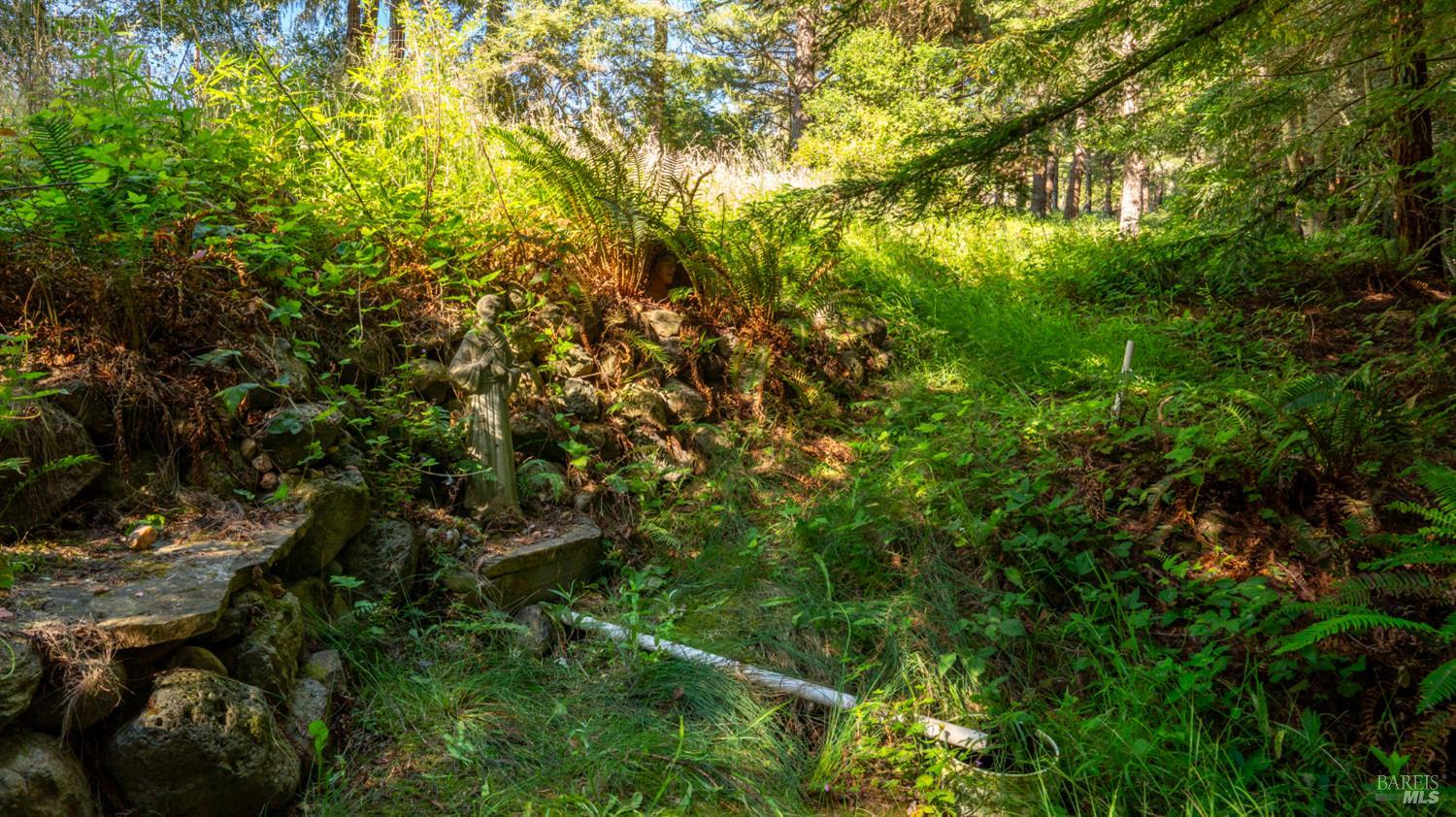 1187 Tannery Creek Road Bodega, CA 94922 - Photo 93 of 96 Gallery Image 93
