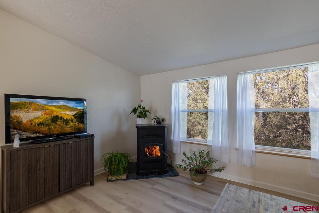 281 Alpine Drive Durango, CO 81301 - Photo 23 of 42 a living room with furniture and a flat screen tv