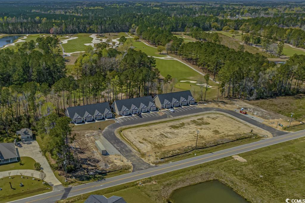 124 Kingsbury Loop, Unit C Conway, SC 29526 - Photo 28 of 37