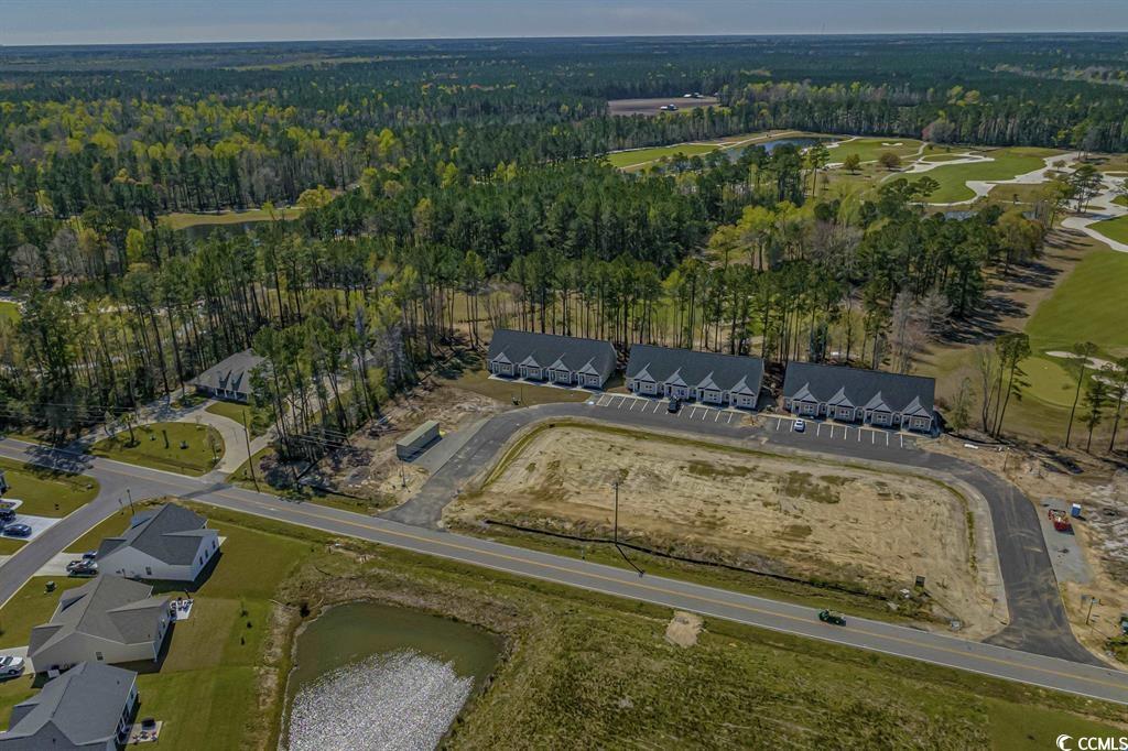 124 Kingsbury Loop, Unit C Conway, SC 29526 - Photo 29 of 37