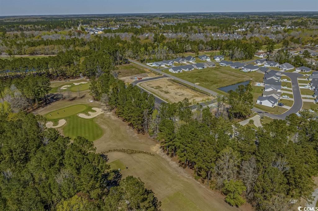 124 Kingsbury Loop, Unit C Conway, SC 29526 - Photo 30 of 37