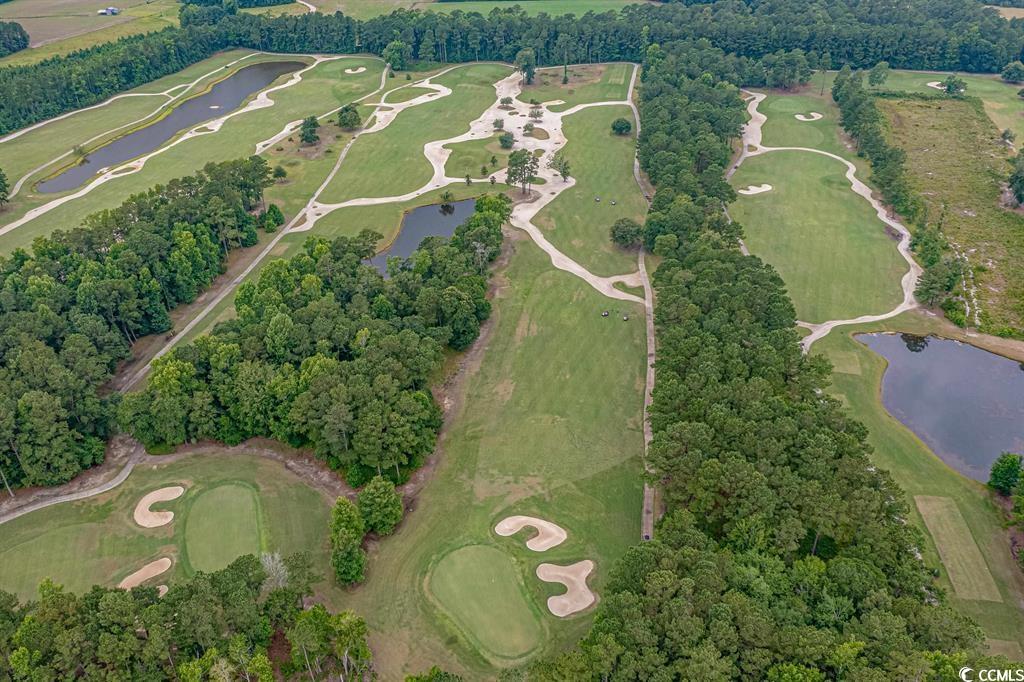 124 Kingsbury Loop, Unit C Conway, SC 29526 - Photo 33 of 37