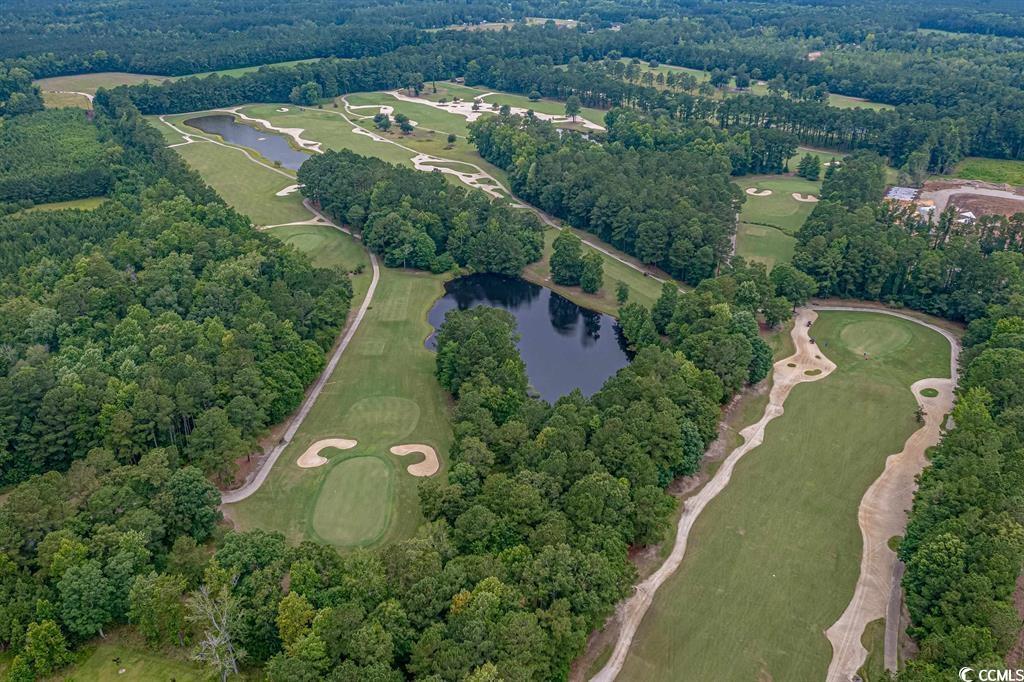 124 Kingsbury Loop, Unit C Conway, SC 29526 - Photo 34 of 37