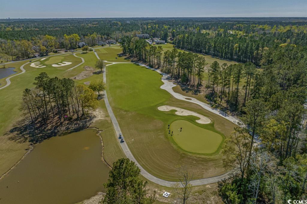 124 Kingsbury Loop, Unit C Conway, SC 29526 - Photo 36 of 37