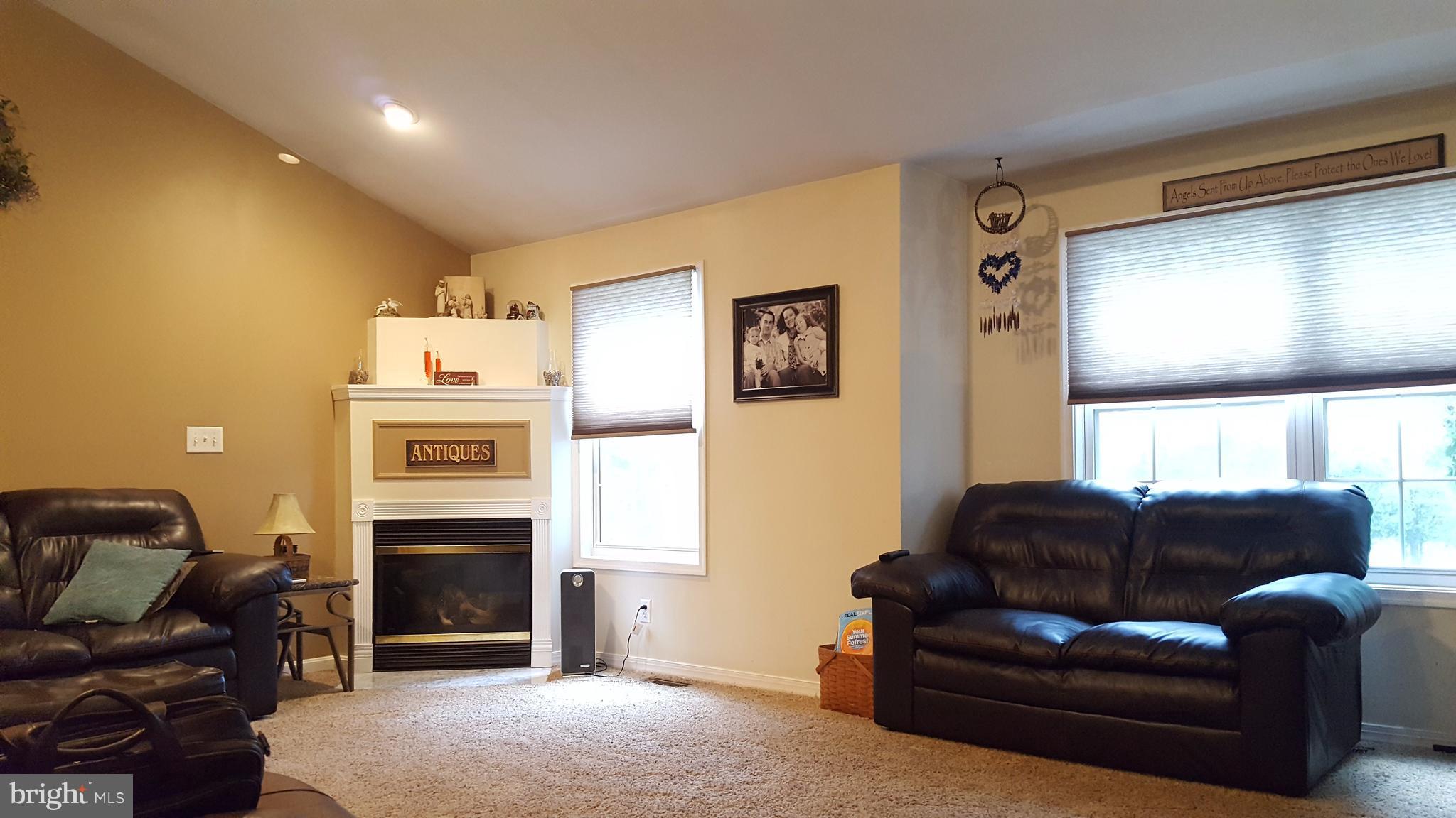 3182 Vineyard Road Falling Waters, WV 25419 - Photo 10 of 29 Gas fireplace offers a cozy touch