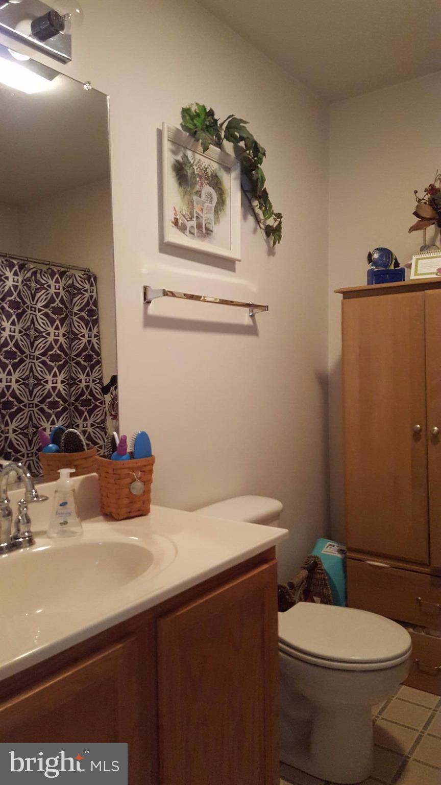 3182 Vineyard Road Falling Waters, WV 25419 - Photo 19 of 29 Full main level bath