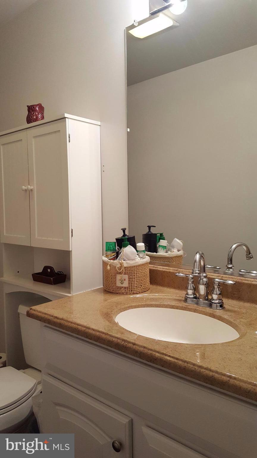 3182 Vineyard Road Falling Waters, WV 25419 - Photo 20 of 29 Upgraded master bath