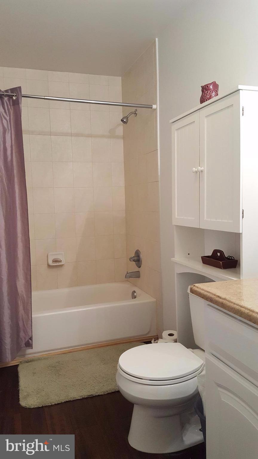 3182 Vineyard Road Falling Waters, WV 25419 - Photo 24 of 29 Upgraded master bath; bamboo flooring